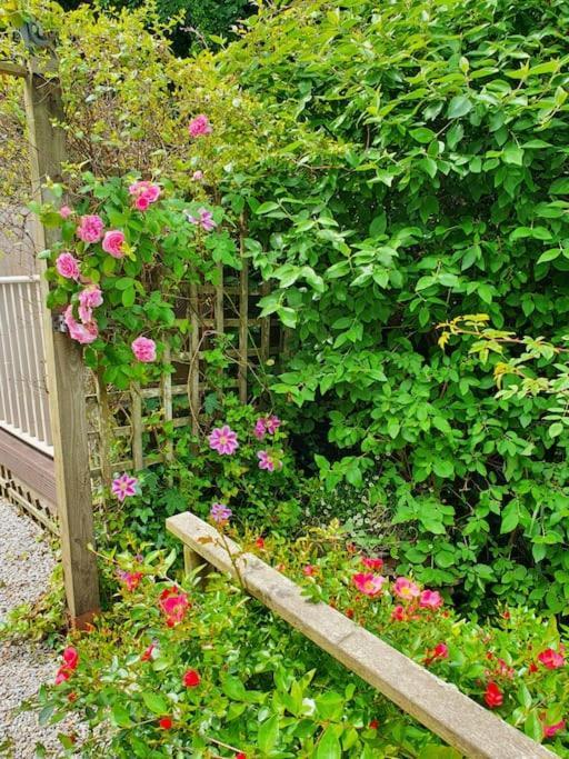 Bijou Coastal Apartment In Polperro With Hot Tub Onsite Parking Downhill Walk To Village Eksteriør billede